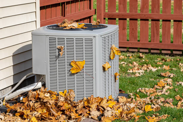 Best Air Quality Test  in Camden, AR